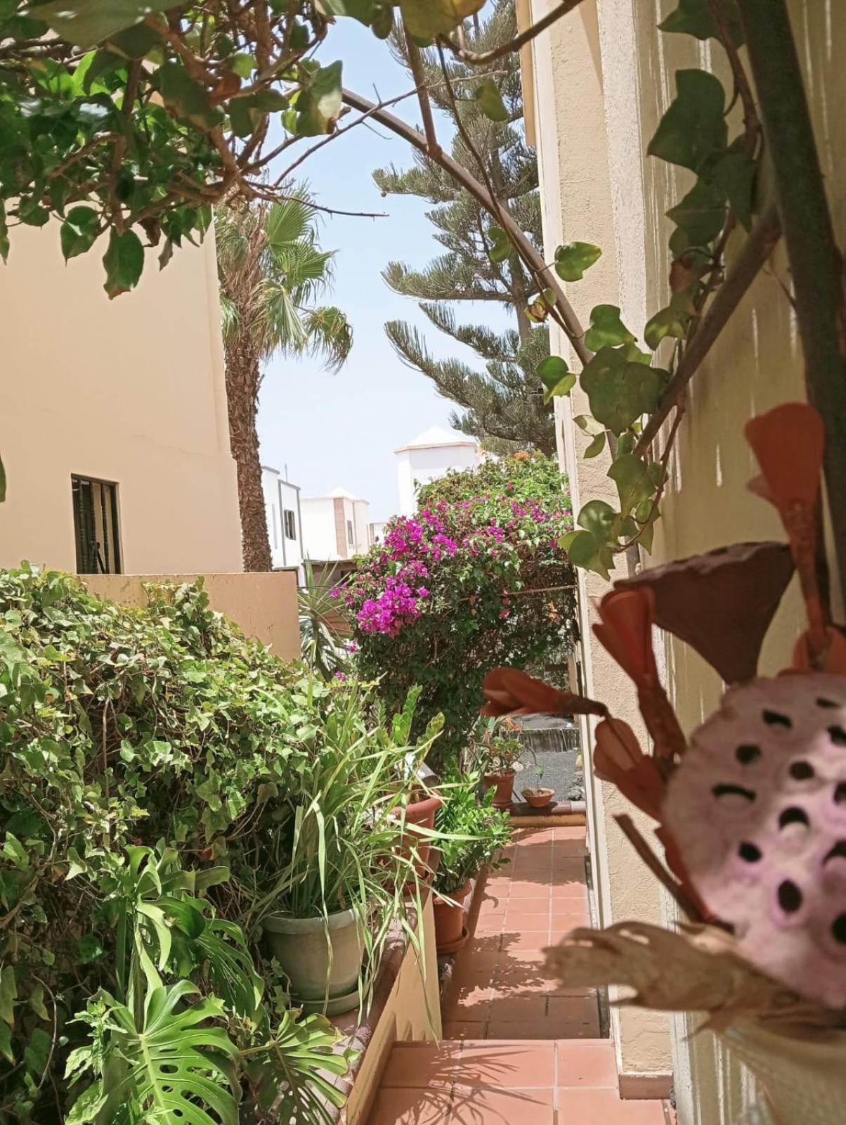 Casa Noray 18 Lägenhet Playa Honda  Exteriör bild